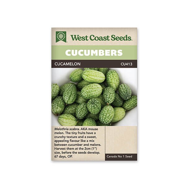 West Coast Seeds Cucumber Seeds